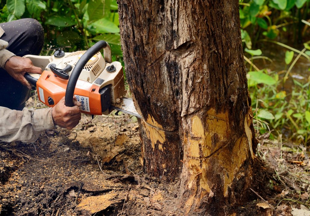 Visual representing professional lead generation solutions for Tree Services to grow their business.